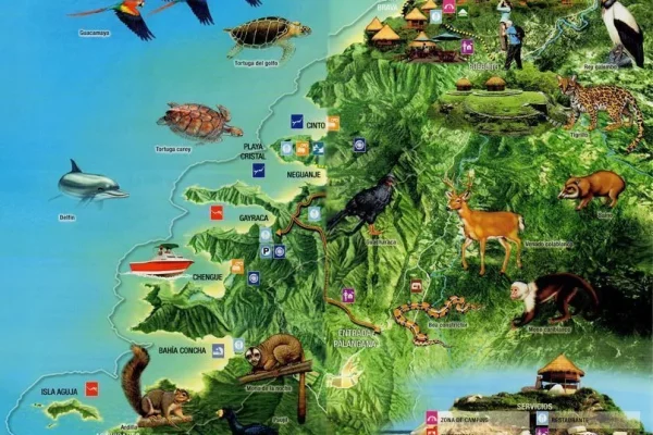 1598734842-9429-tayrona-4.webp