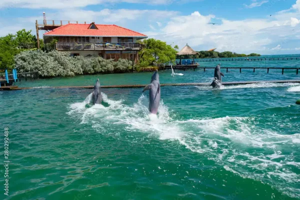 Tour-5-Islas-2-2-1.webp