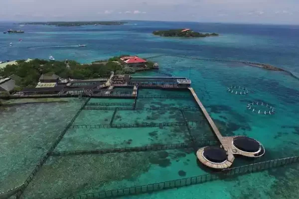 Tour-5-Islas-4-1.webp