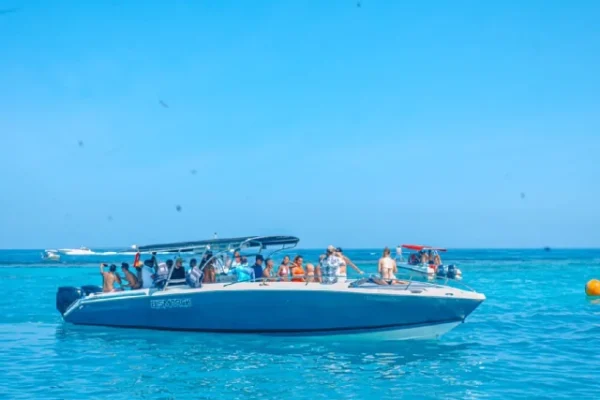 cholon-forever-6-jtp1253x640-1.webp